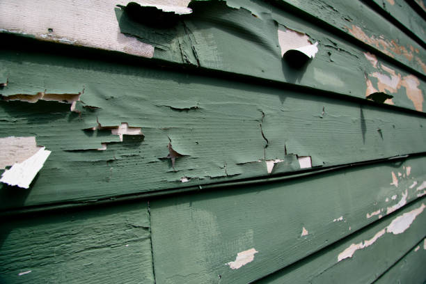 Best Scrap Metal Removal  in Tlassee, AL